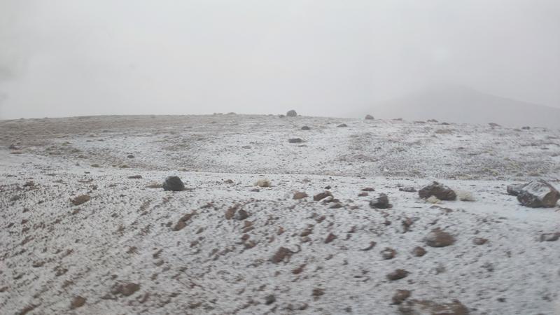 IMG_20260404_161852.jpg