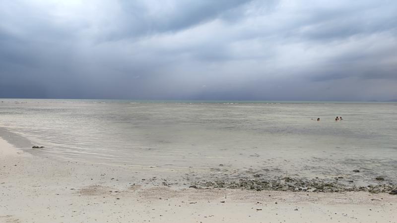 IMG_20240624_140506.jpg